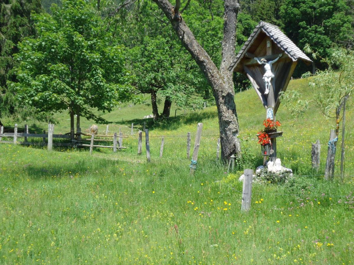 Gsenghof Villa Filzmoos Exteriör bild