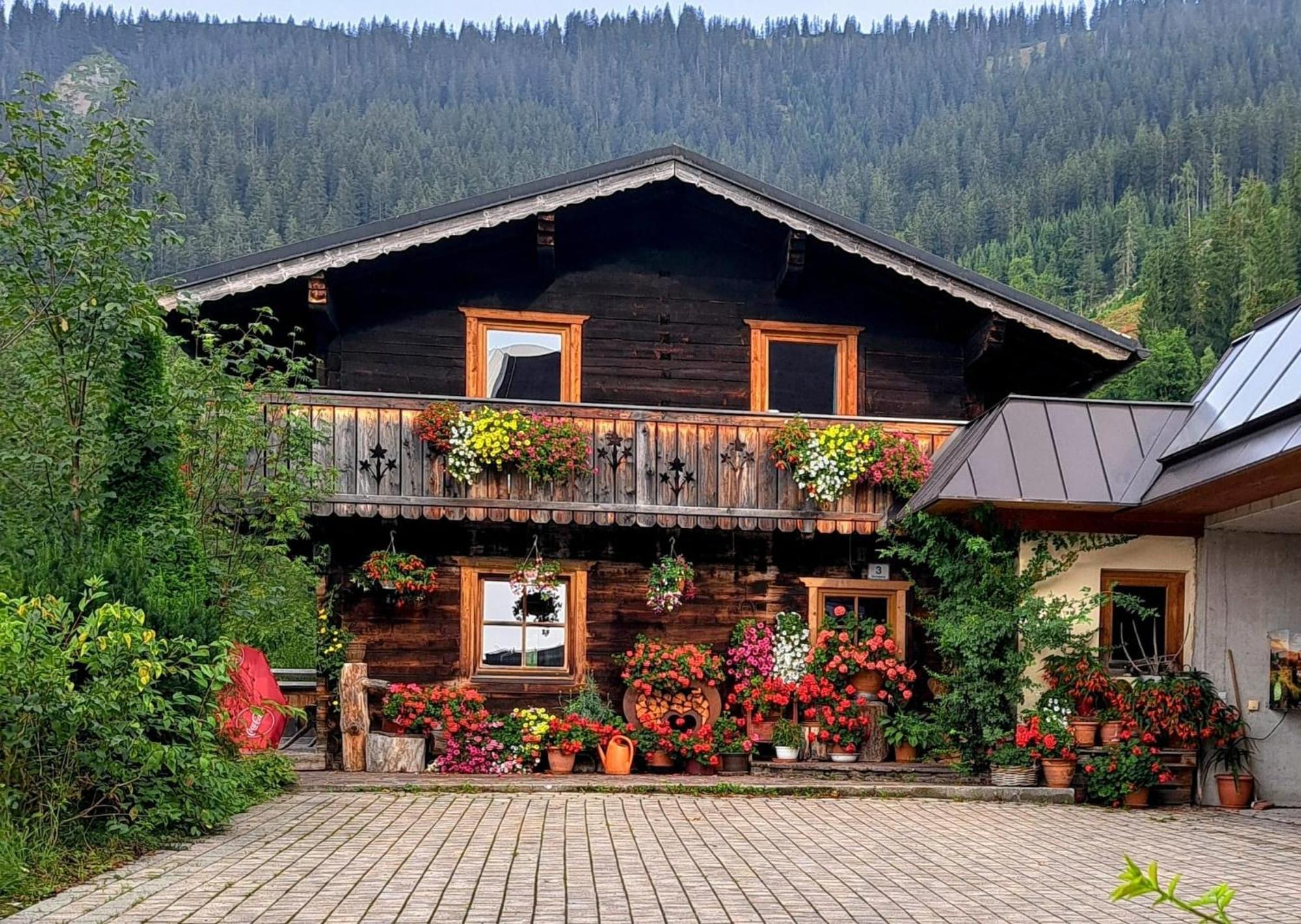 Gsenghof Villa Filzmoos Exteriör bild